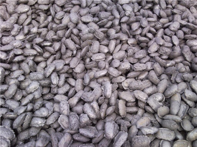 Electrode paste